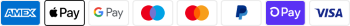 Payment Gateway